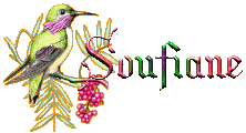 soufiane